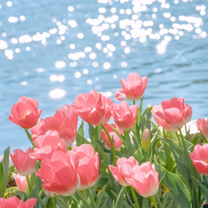 华伦天奴被C到高潮的视频
